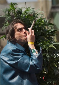 Matt-Mernagh-Smoking-a-Joint-near-a-marijuana-plant