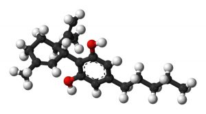 cannabidiol-nie-wywoluje-typowych-dla-thc-dzialan-1