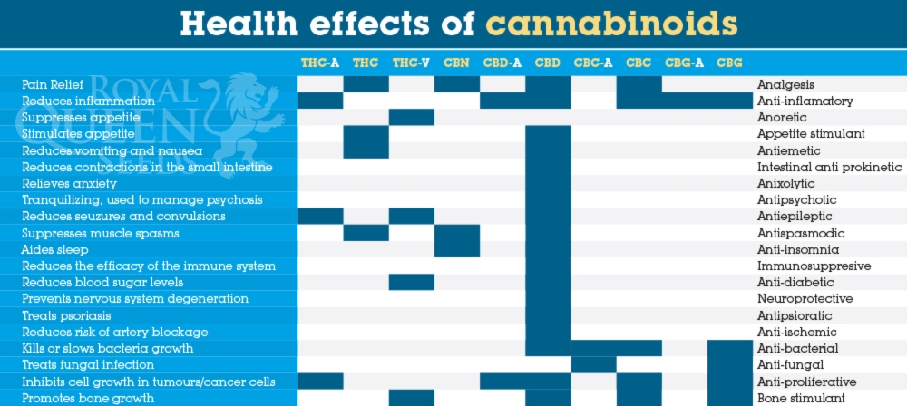 Nauka o medycznej marihuanie, UltimateSeeds.pl
